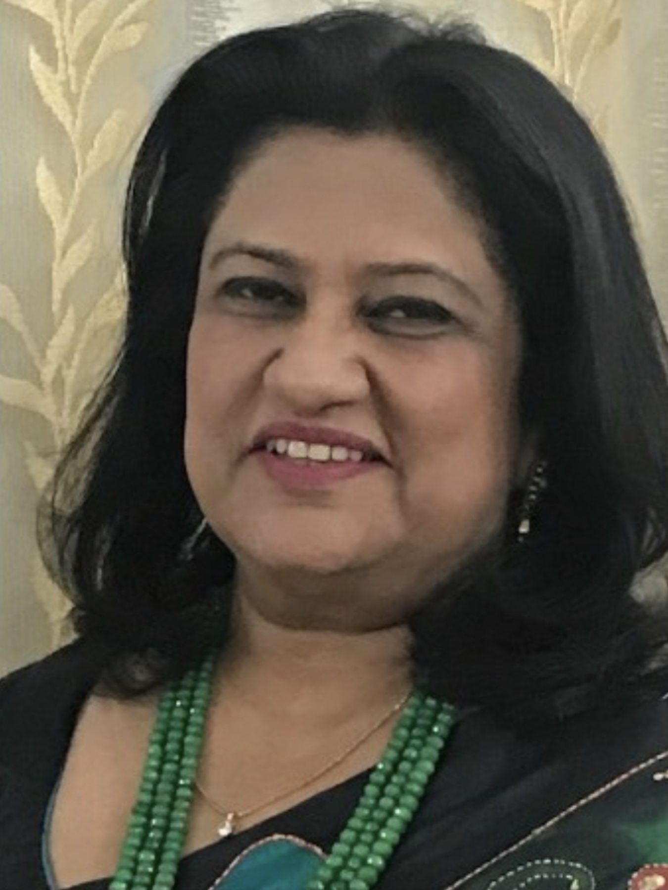Dr. Meera Verma